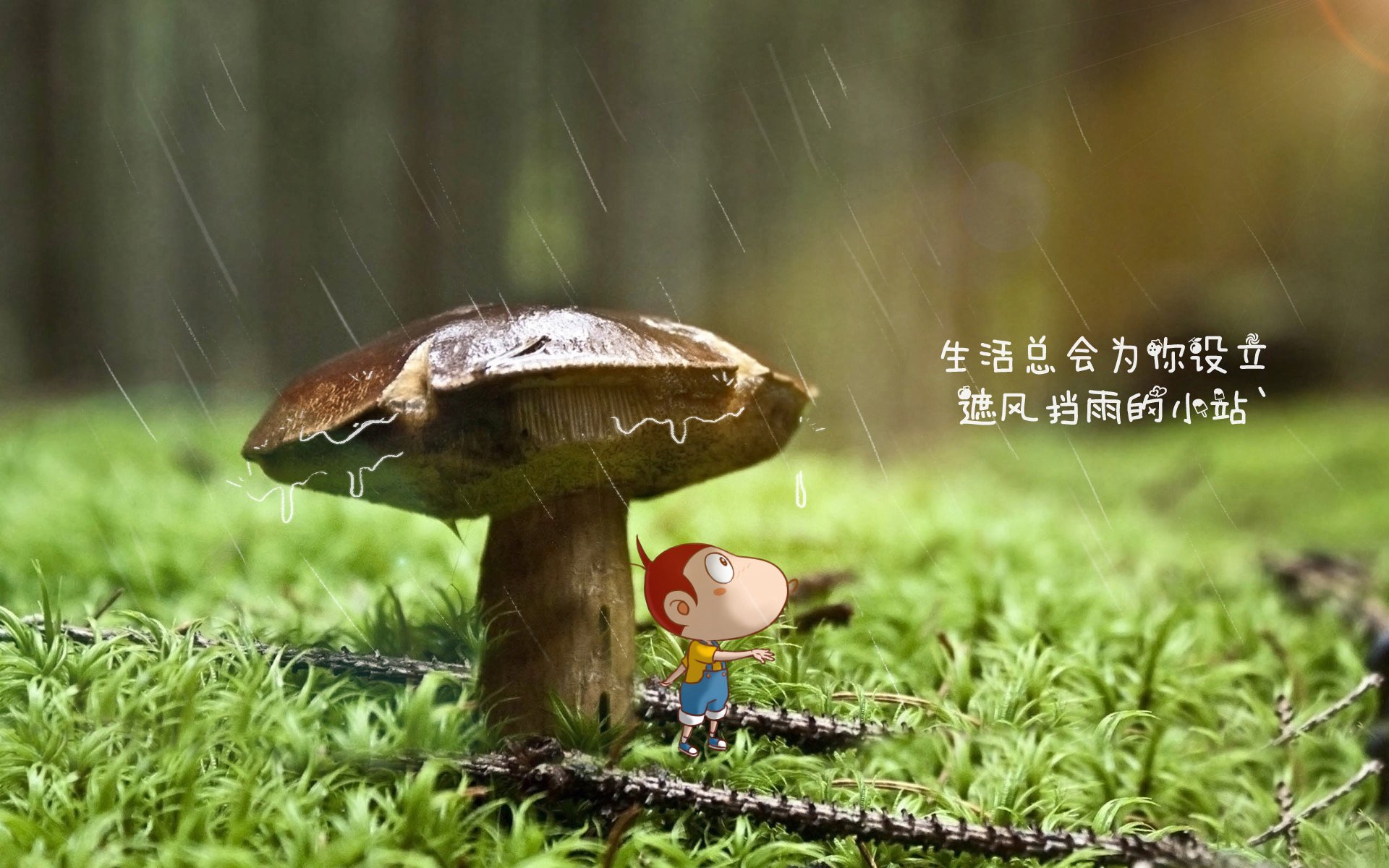 转会风云：本赛季最大的交易事件回顾，转会大全