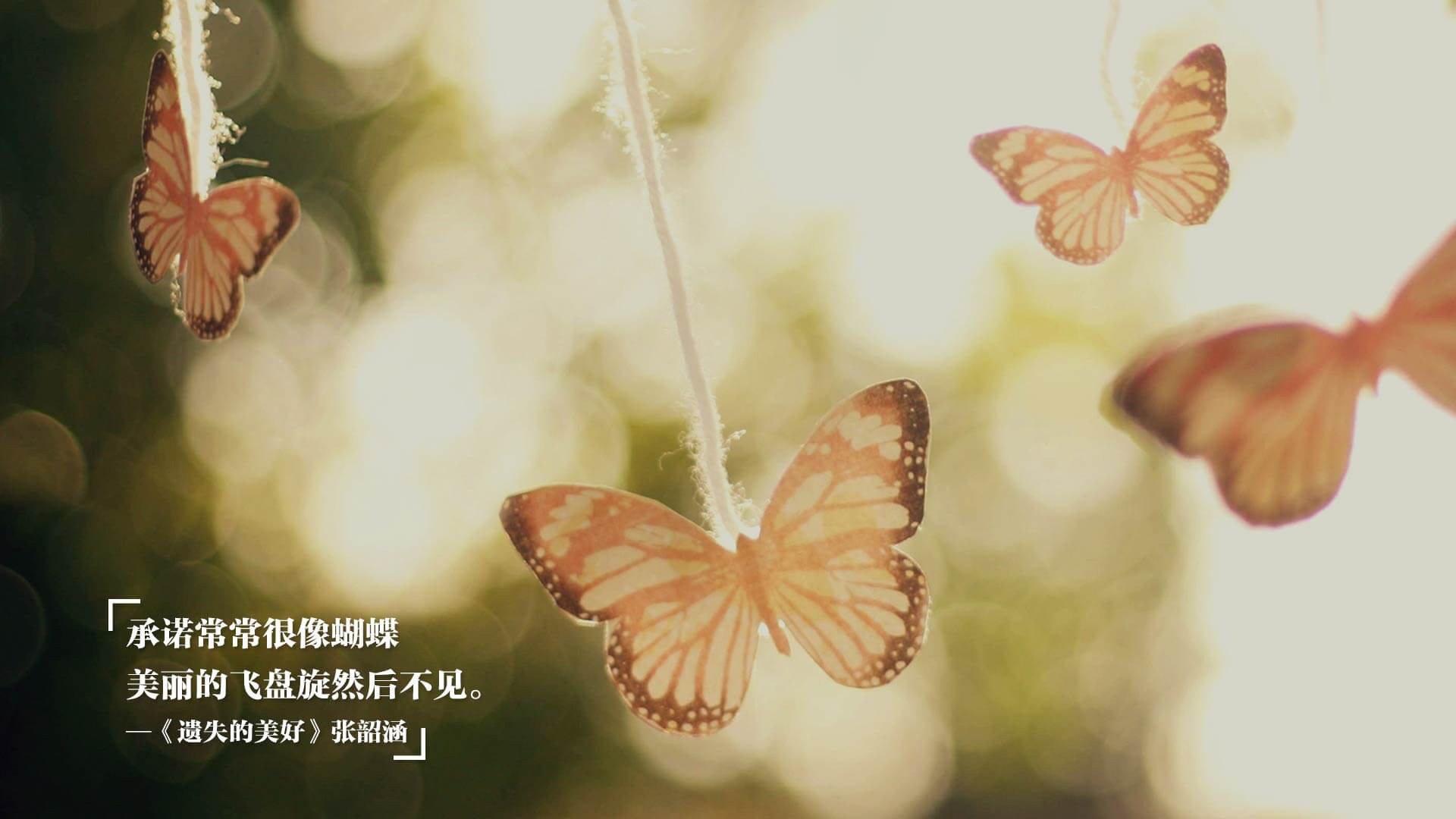 CBA球员技艺精湛，为球迷带来赛场精彩，cba职业球员