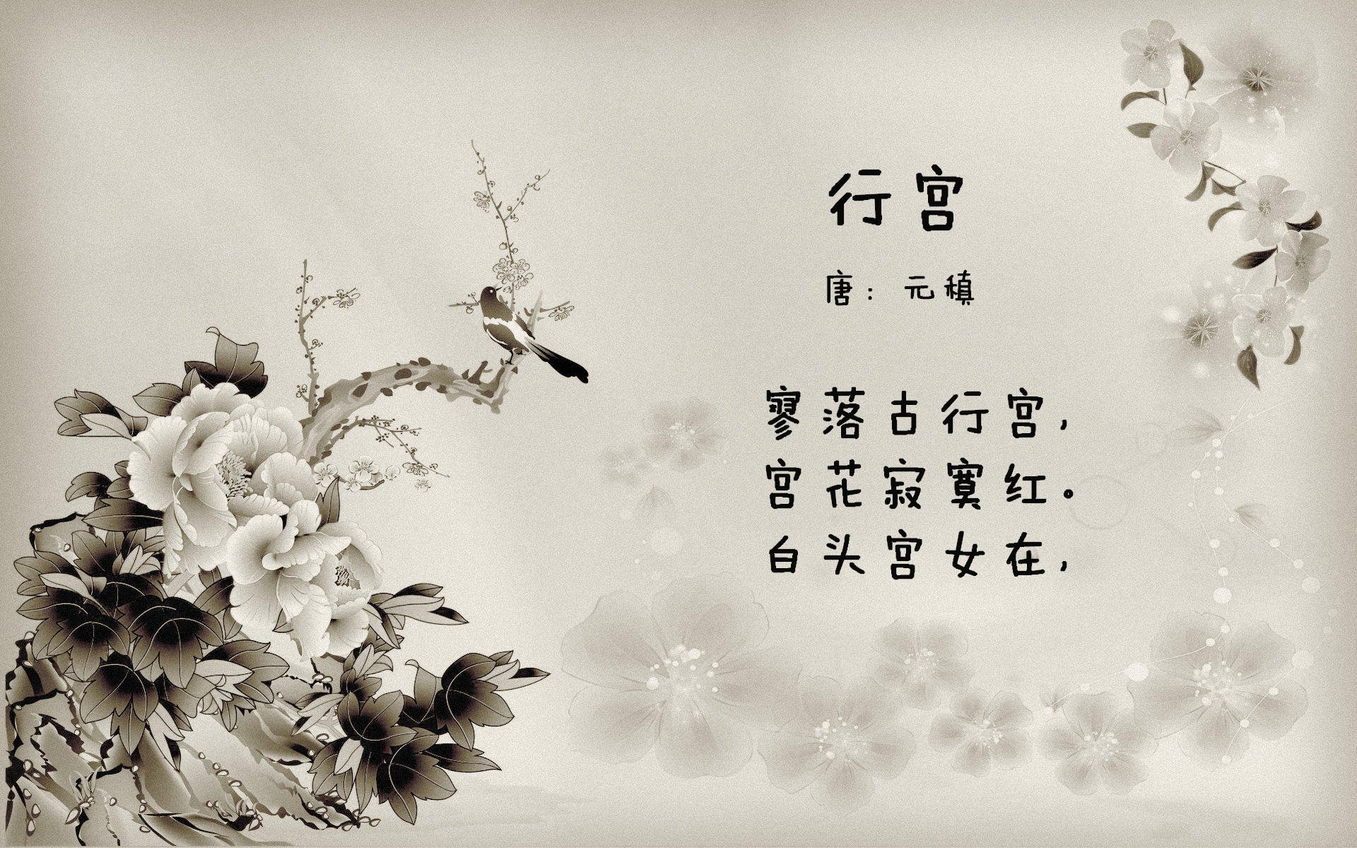LCK赛事直播观看人数创新高，lck赛区直播