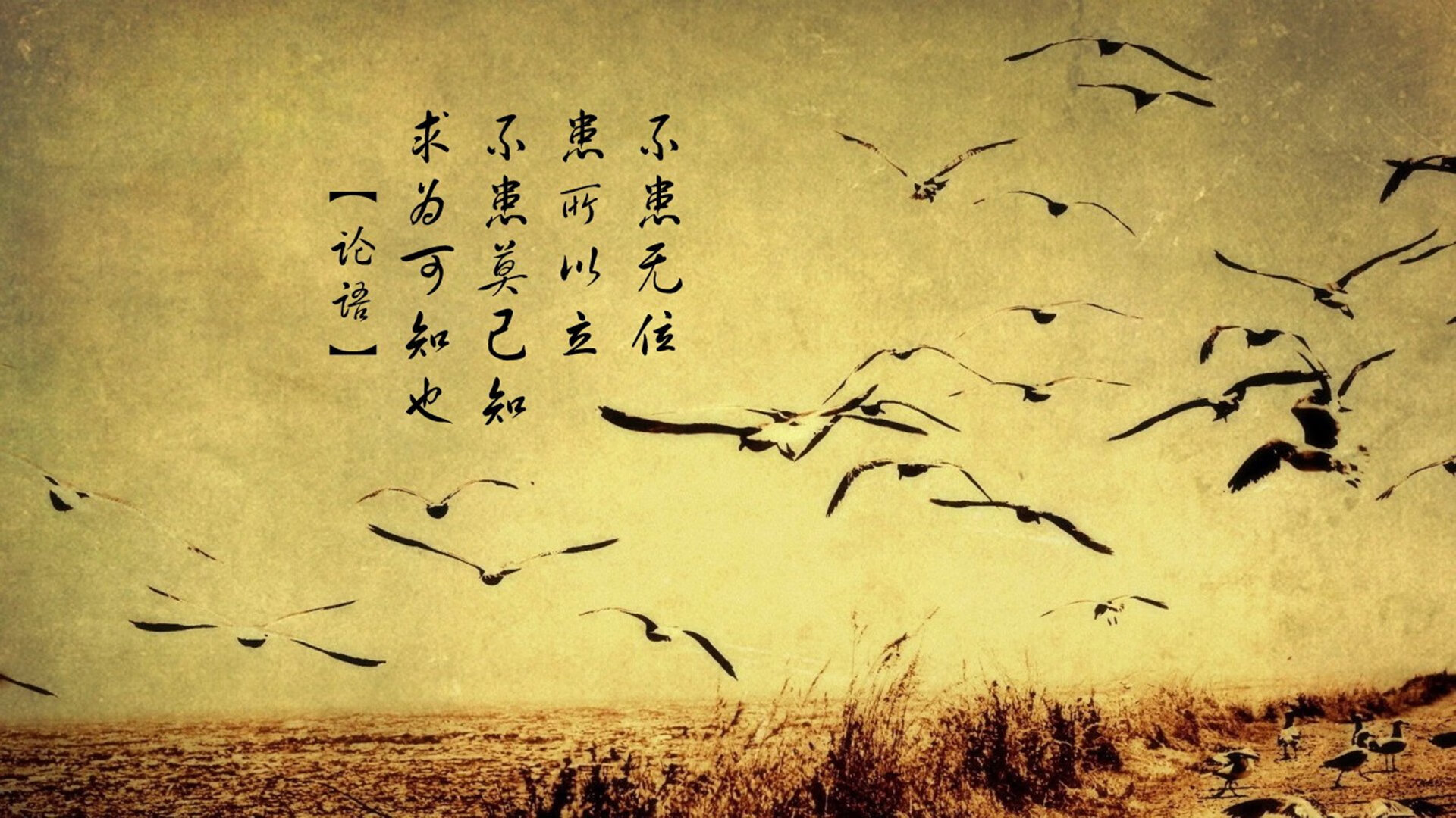 PSG展望未来，瞄准下一届世界杯冠军，下一个世界杯冠军