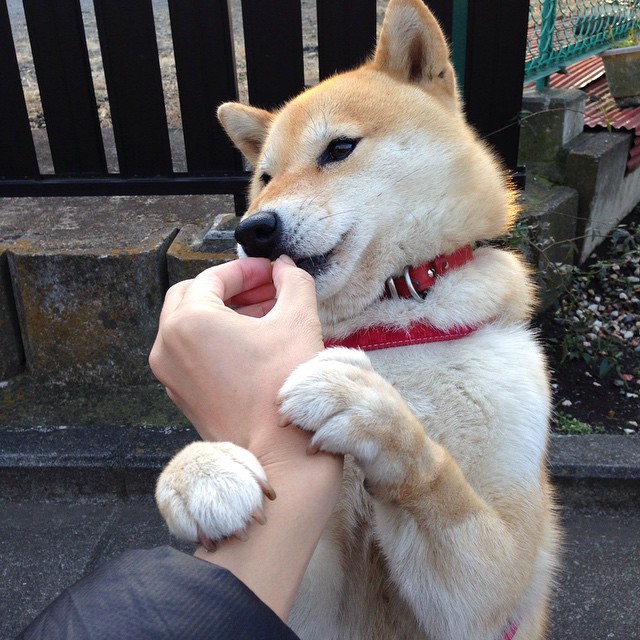 九游官网pc-广东队通过压迫防守迫使对手频繁失误，广东队反击