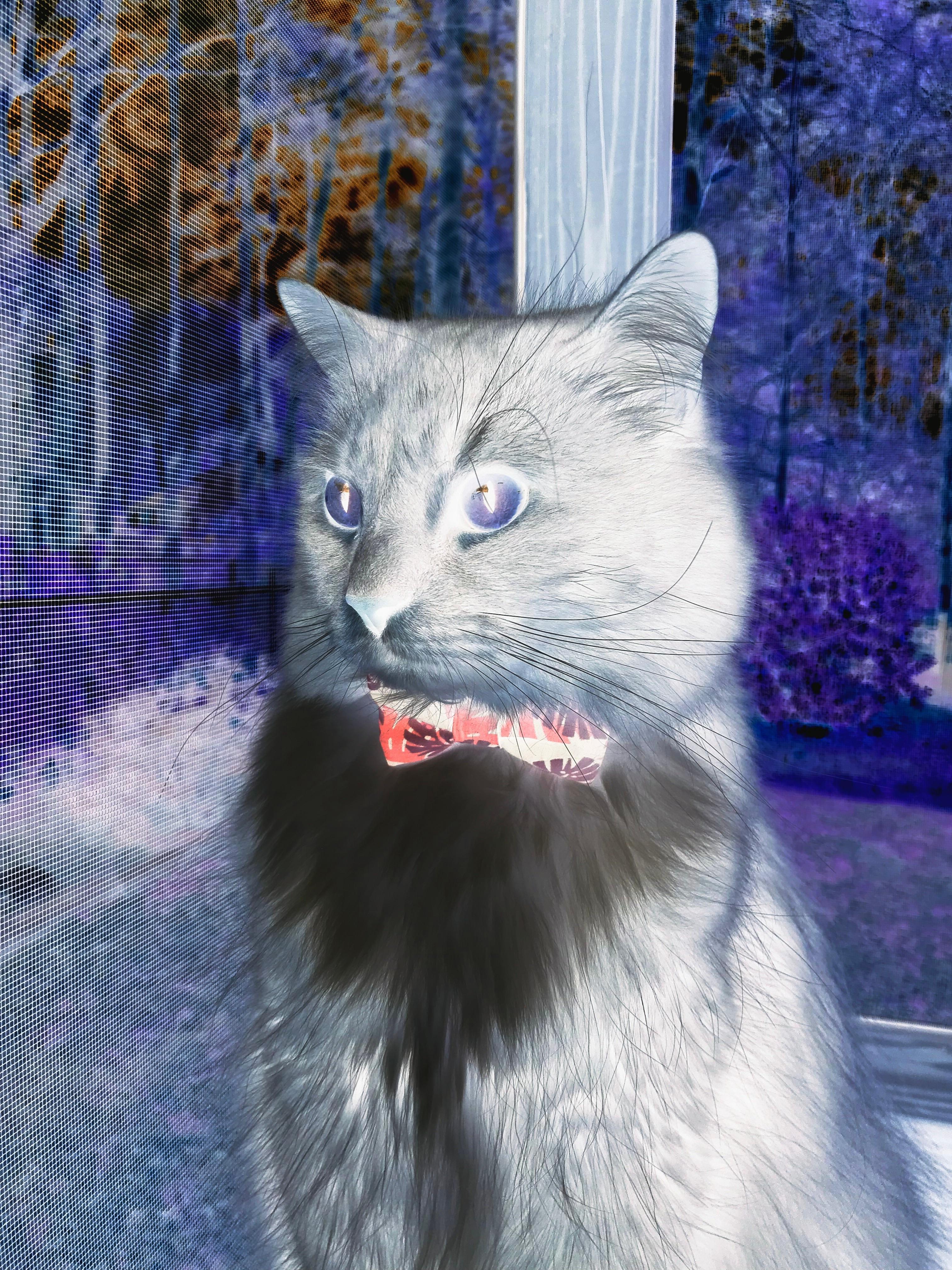 JIU YOU GAME-本土球员缺乏横向对抗环境提升强度