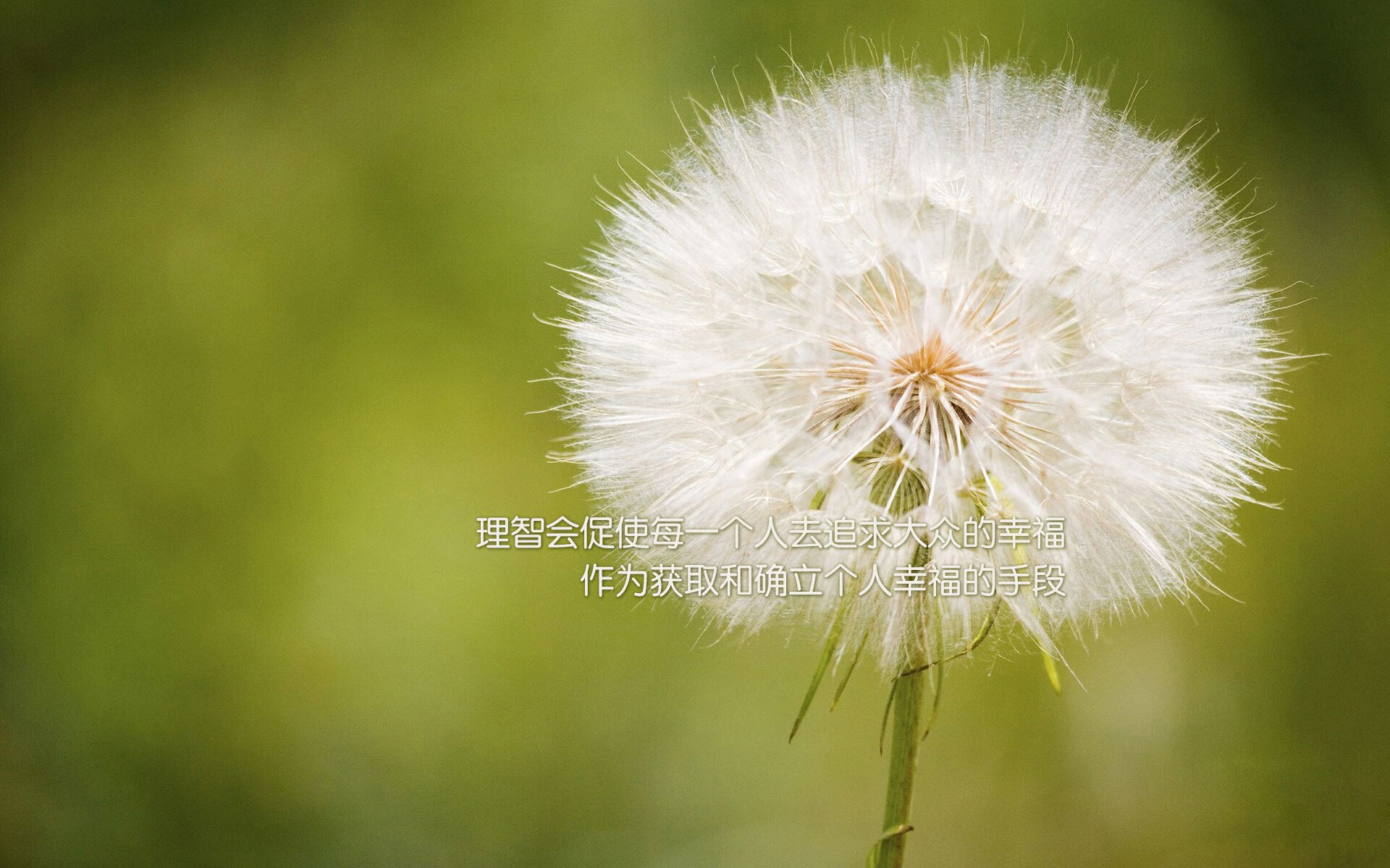 九游下载安装-澳大利亚队赛制调整：团体赛如何成为提升球队实力的关键，澳大利亚球队分析