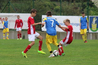 九游电脑版-突尼斯希望进攻套路单一，被对手识破，突尼斯是啥意思