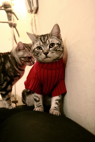 九游(jiuyou)官方网站-自由泳长距离配速分段更合理，自由泳配速标准