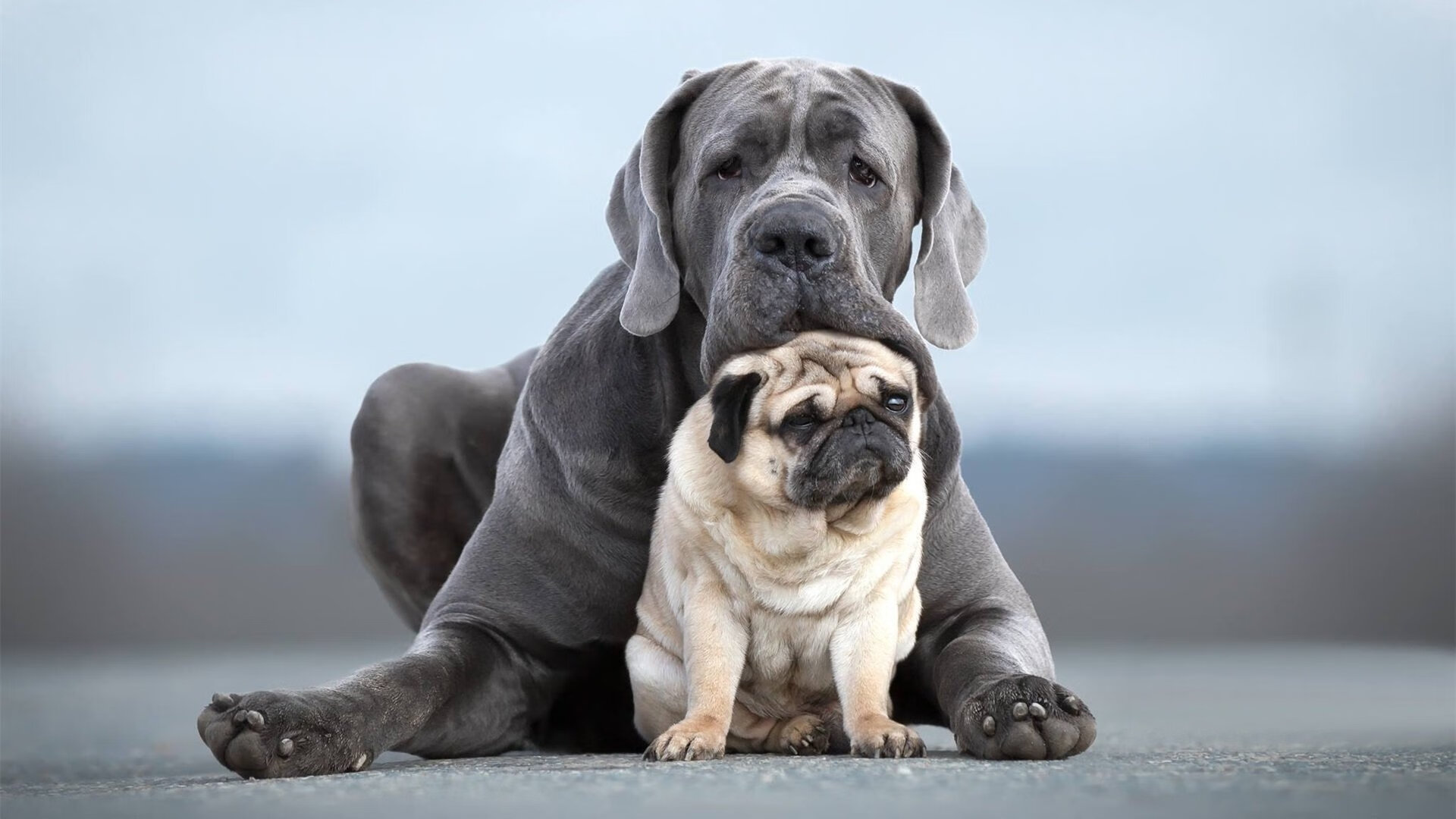 九游jiuyou-中国球员参与亚洲明星赛展示个人实力提升国际影响力，亚洲预选赛中国球员