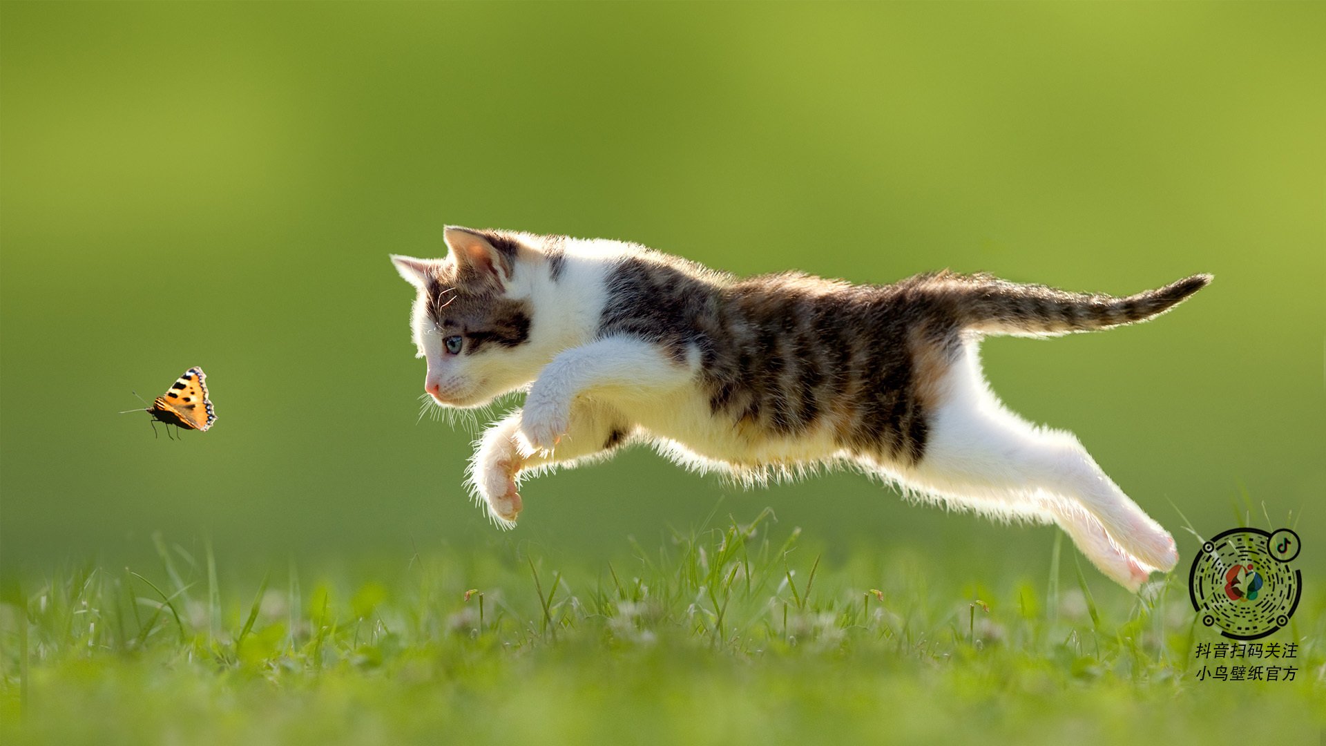 九游-法甲闪耀瞬间：冠军级的战术解读，法甲冠军怎么算